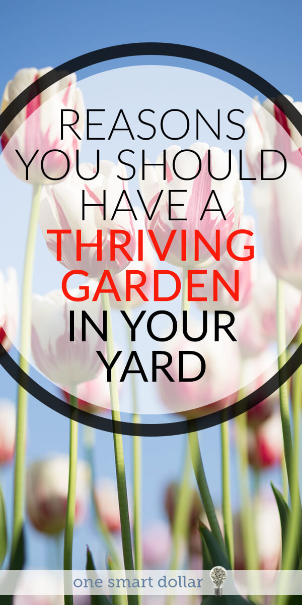 Have you been thinking about setting up a garden in your yard? Here are all the reasons why you should get started today. #Gardening #Flowers #VegetableGarden 