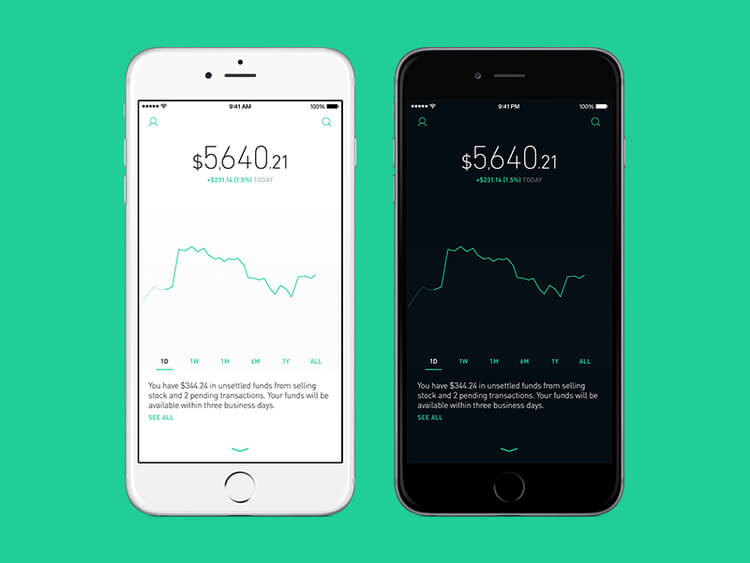 Robinhood Review