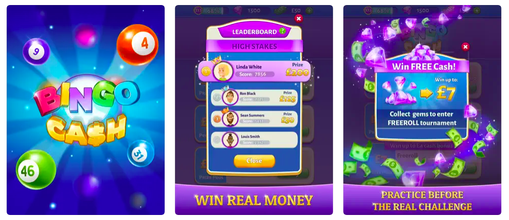 Download the Bingo Cash App